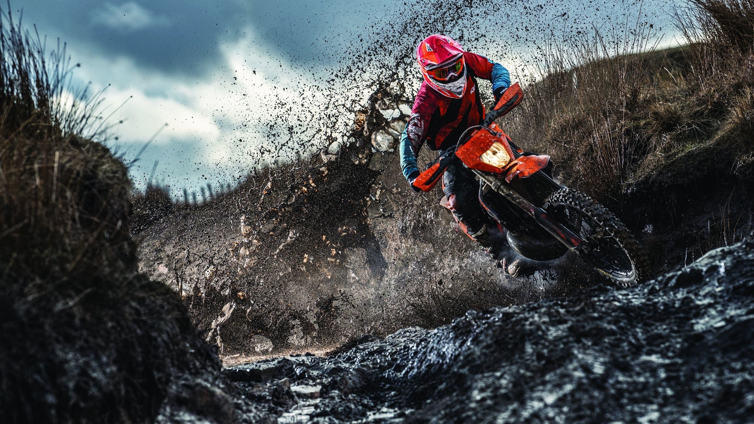 赛事焦点人物表现受瞩目,2021焦点人物素材