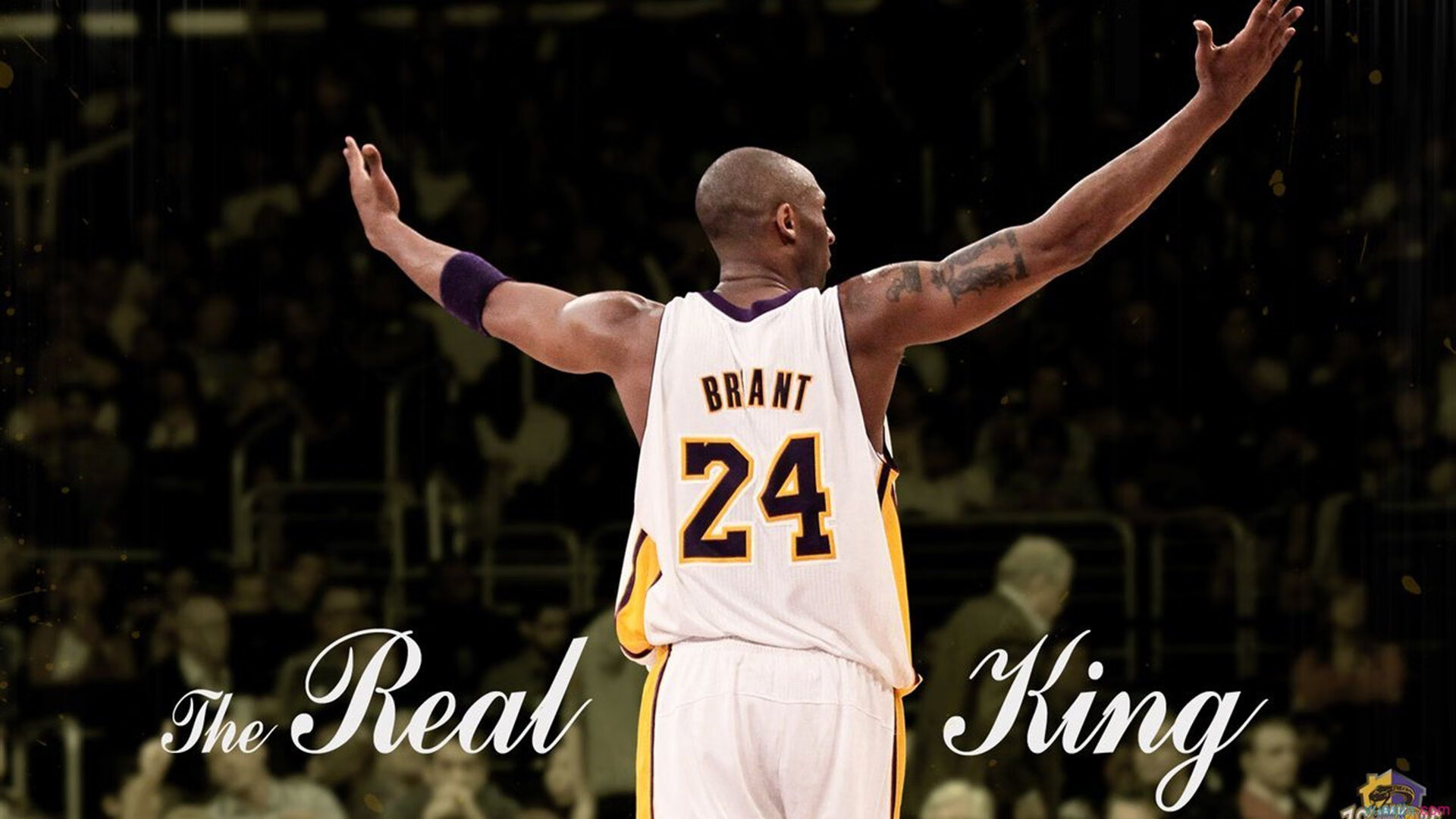 逆境中崛起的球队,逆袭史诗正在书写!,nba顺境逆境绝境